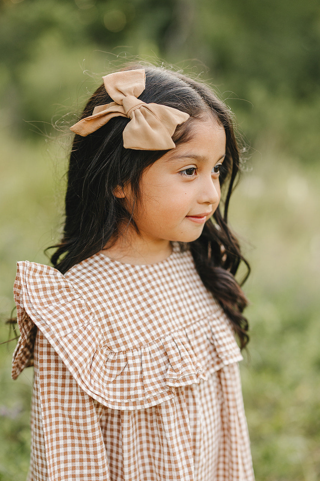 Chestnut Gingham Ruffle Dress