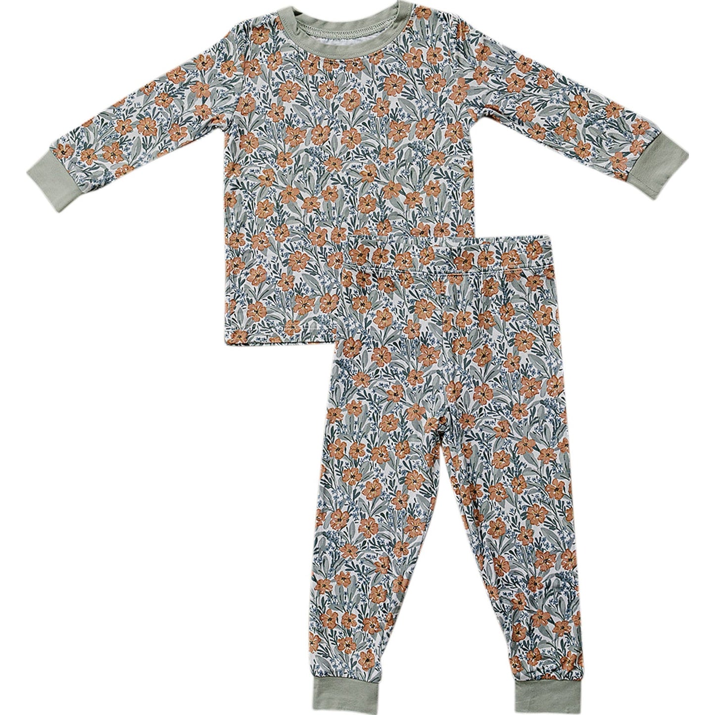 Floral Meadow two piece, long sleeve, bamboo pajamas for baby and toddler girls.