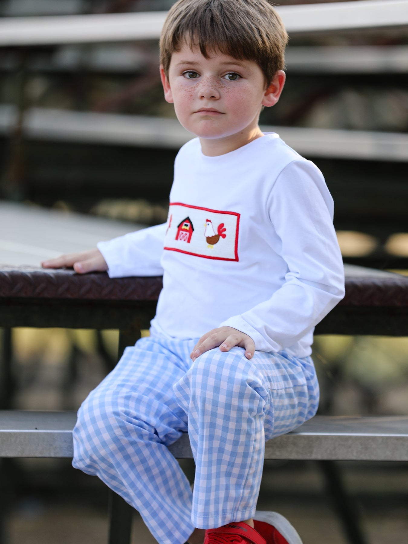 Checking the Chickens Smocked Boys set