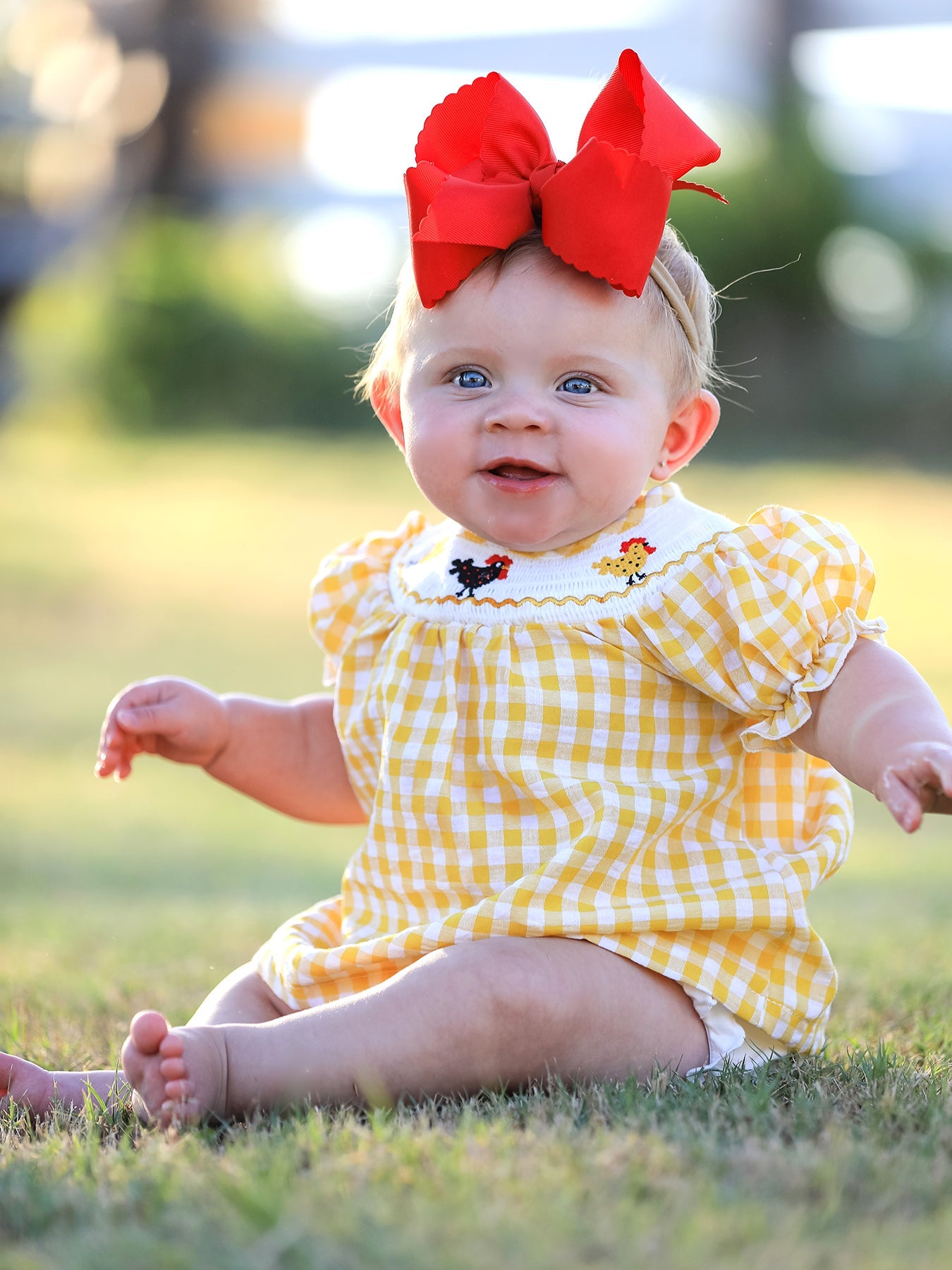 Honey Smocked Chicken Bloomer Set
