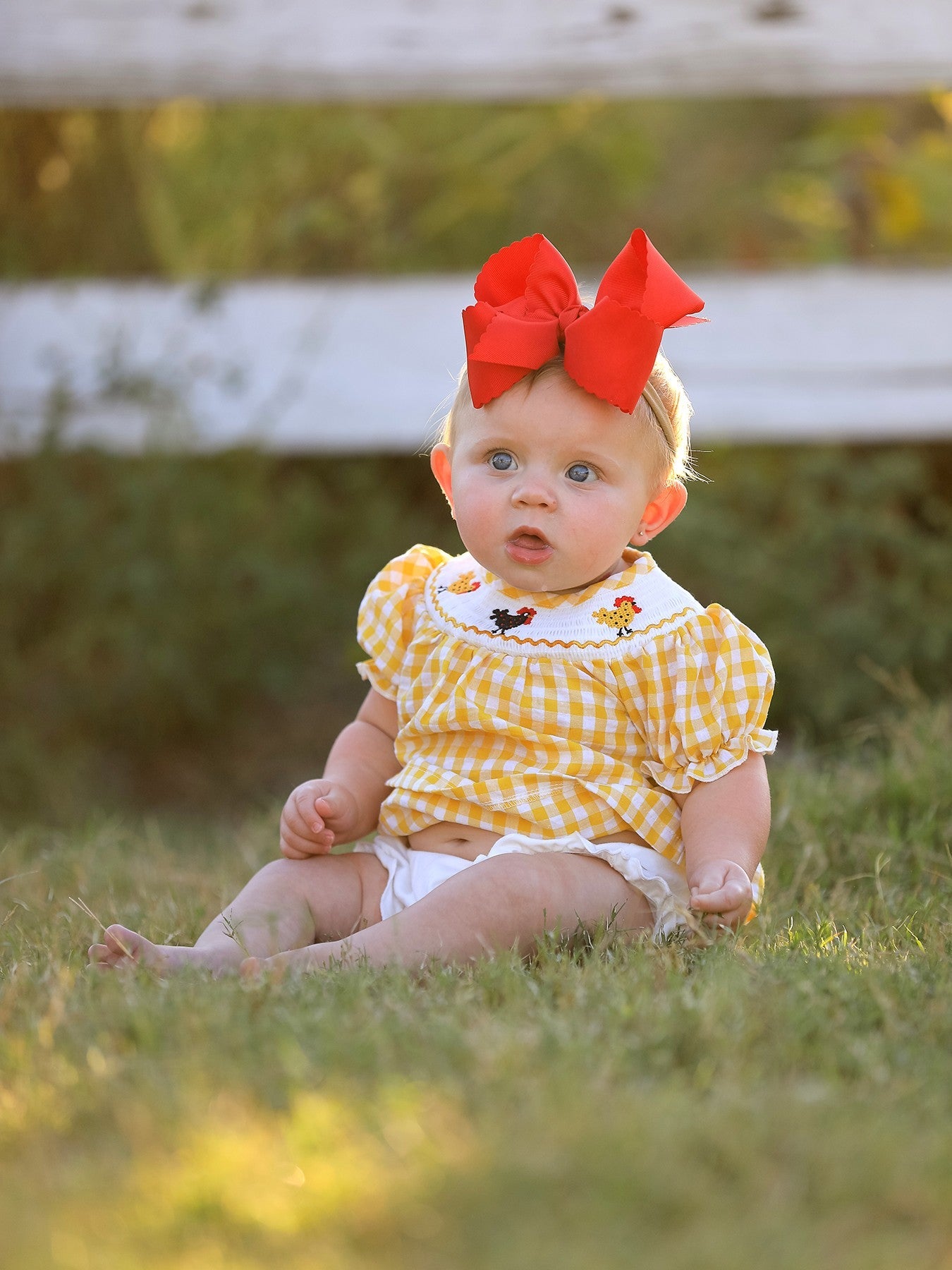 Honey Smocked Chicken Bloomer Set